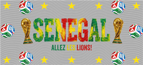 16oz Latest Bestseller-C 6105